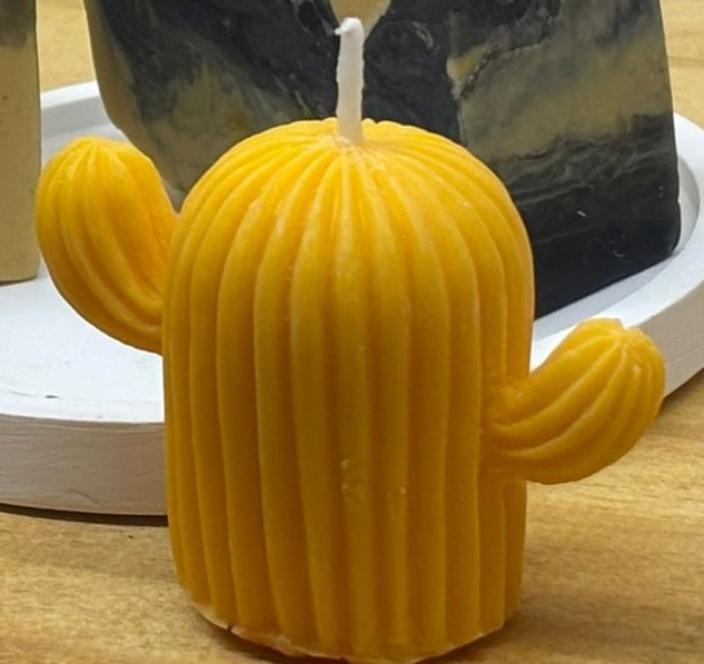 CACTUS