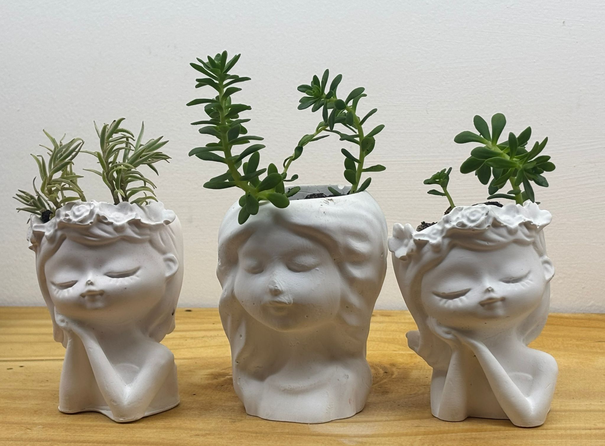 SOÑADORA CON PLANTA
